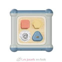 Cube de motricité 10 en 1 - Topbright