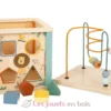 Cube de motricité Safari multicolore Small Foot Compagny