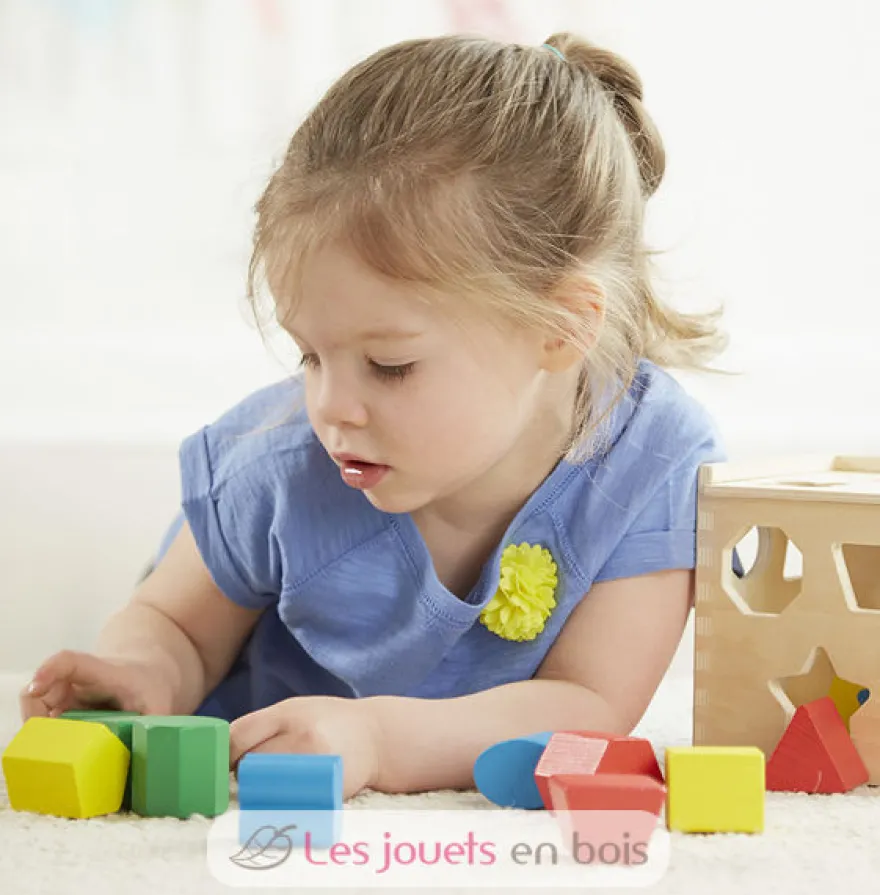 Cube de tri de formes - Melissa & Doug