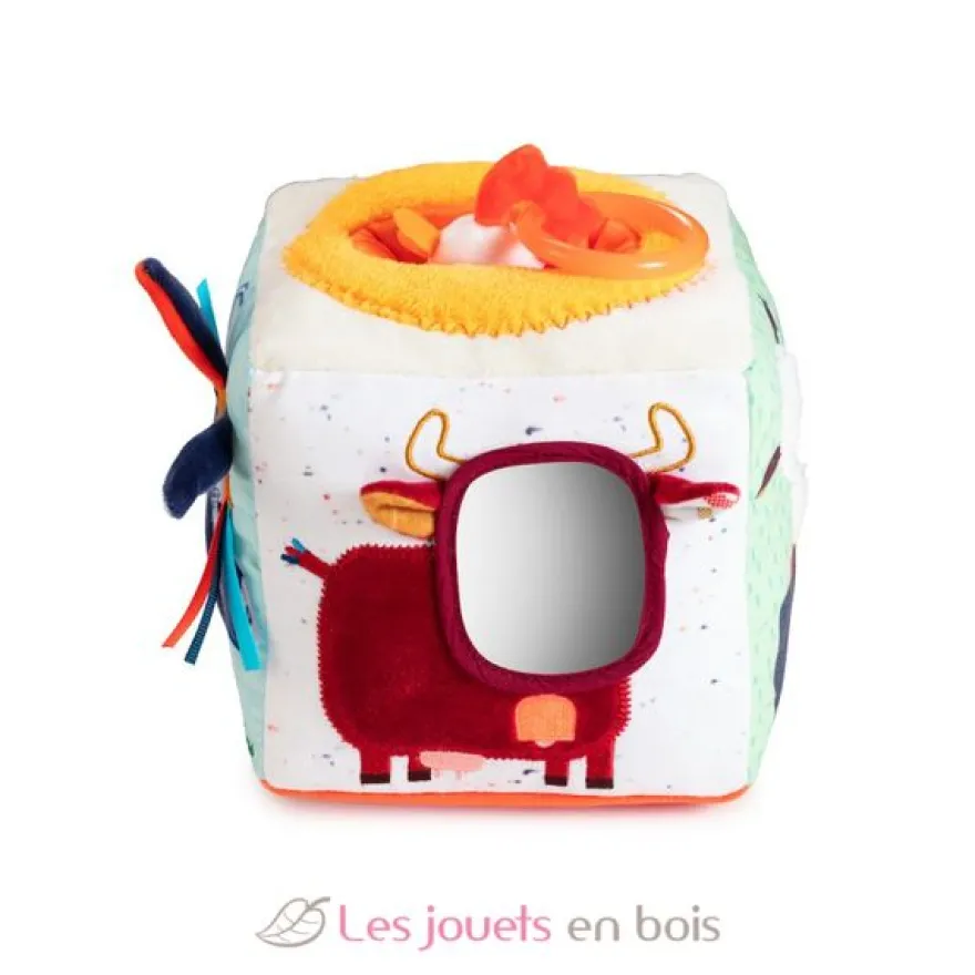 Cube sonore d'activités Ferme - Lilliputiens
