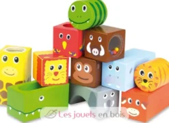 Cubes sonores animaux de la savane - Vilac