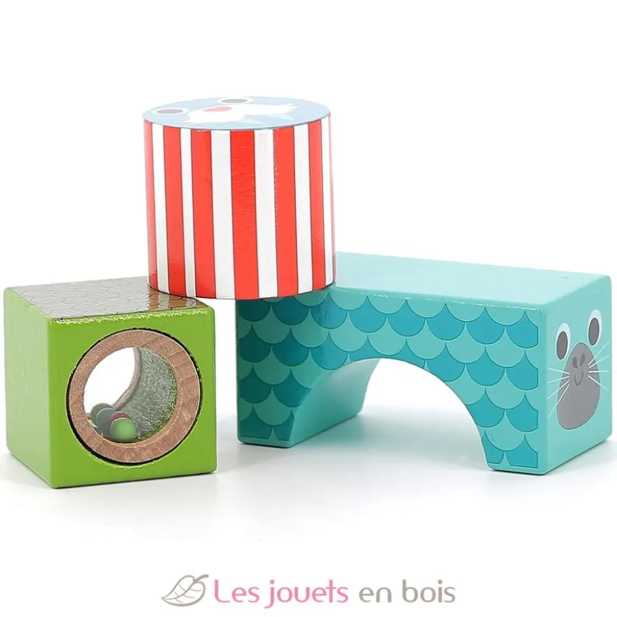 Cubes sonores de la mer - Vilac