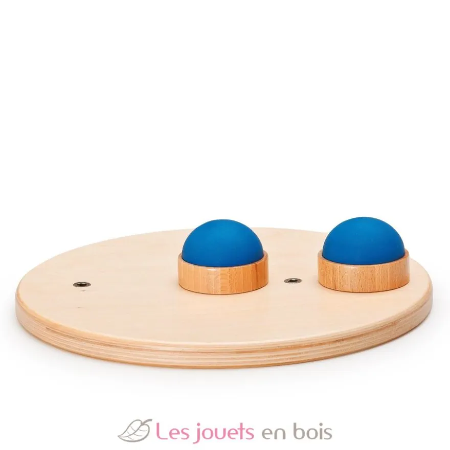 Disque de mouvement FLEX - Erzi