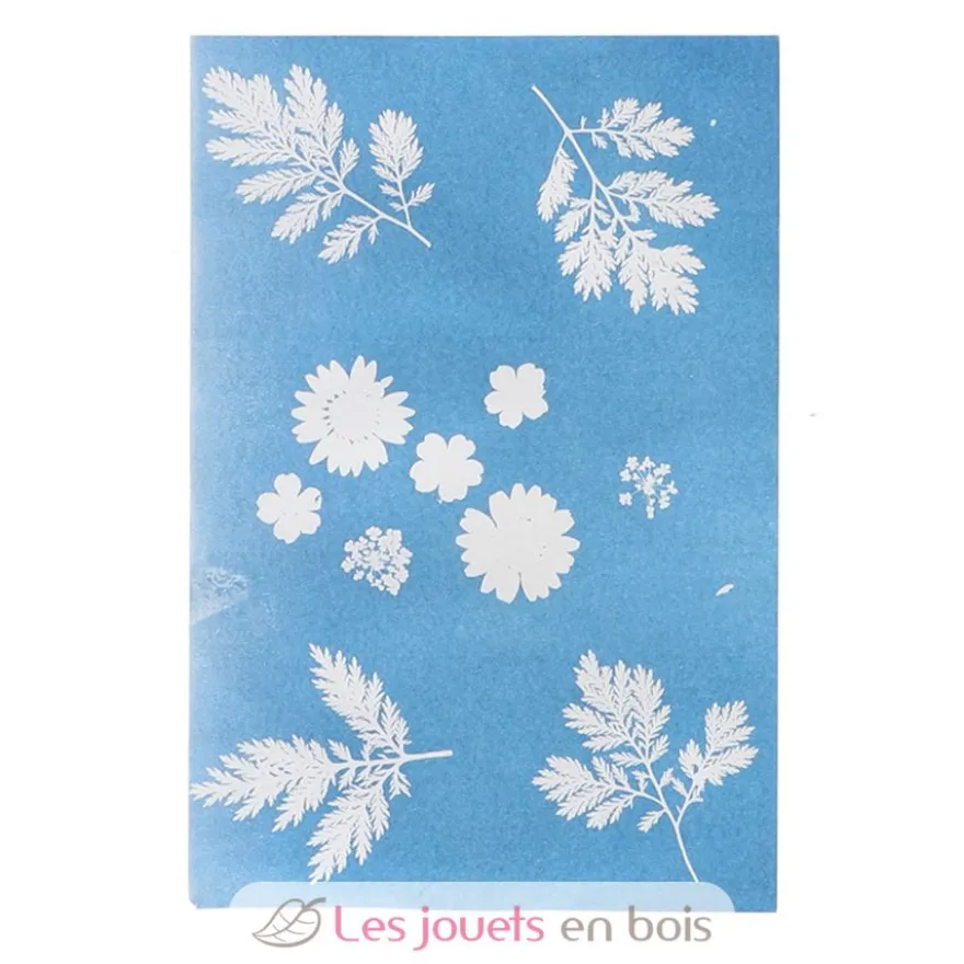 DIY Papier photo solaire A4 - Esschert Design