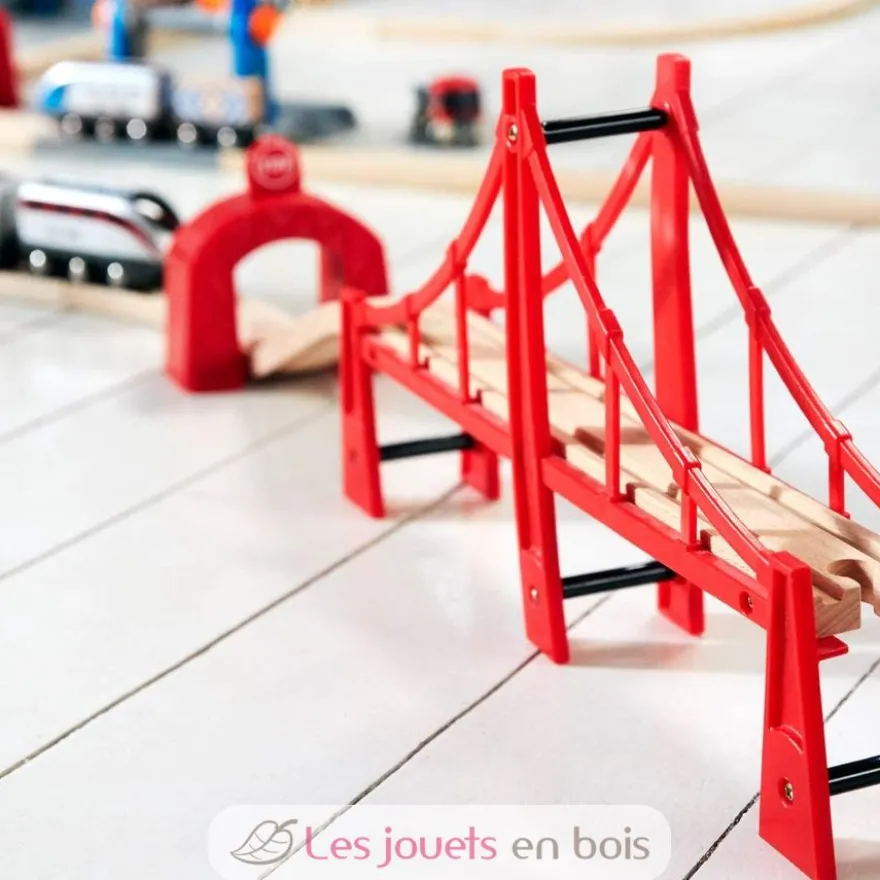 Double pont suspendu - Brio