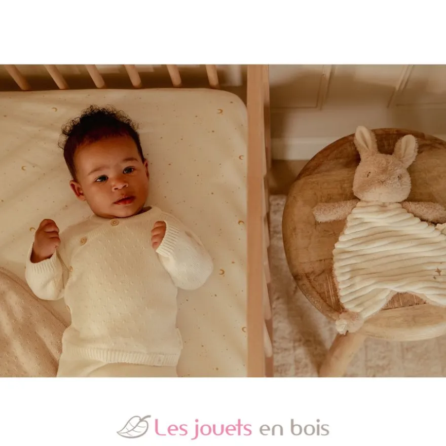 Doudou lapin Newborn - Little Dutch