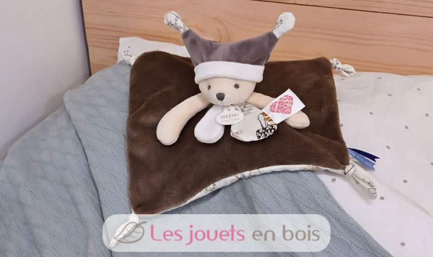 Doudou ours marron à histoires 25 cm - Doudou et Compagnie