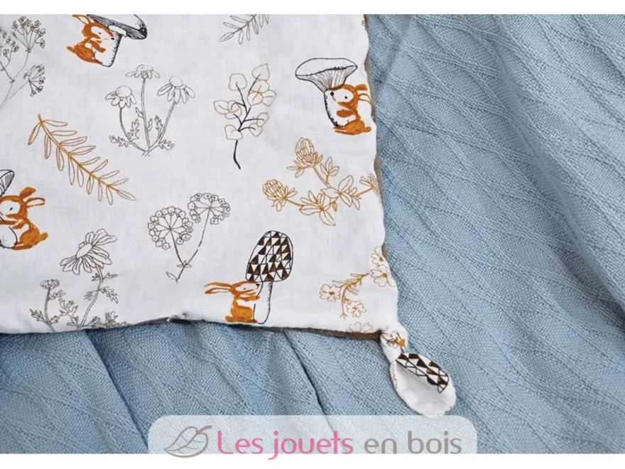 Doudou ours marron à histoires 25 cm - Doudou et Compagnie