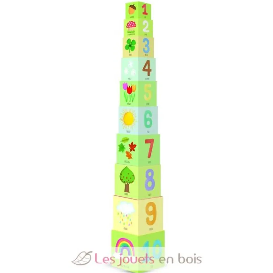 Eco-cubes de la nature - Sassi Junior