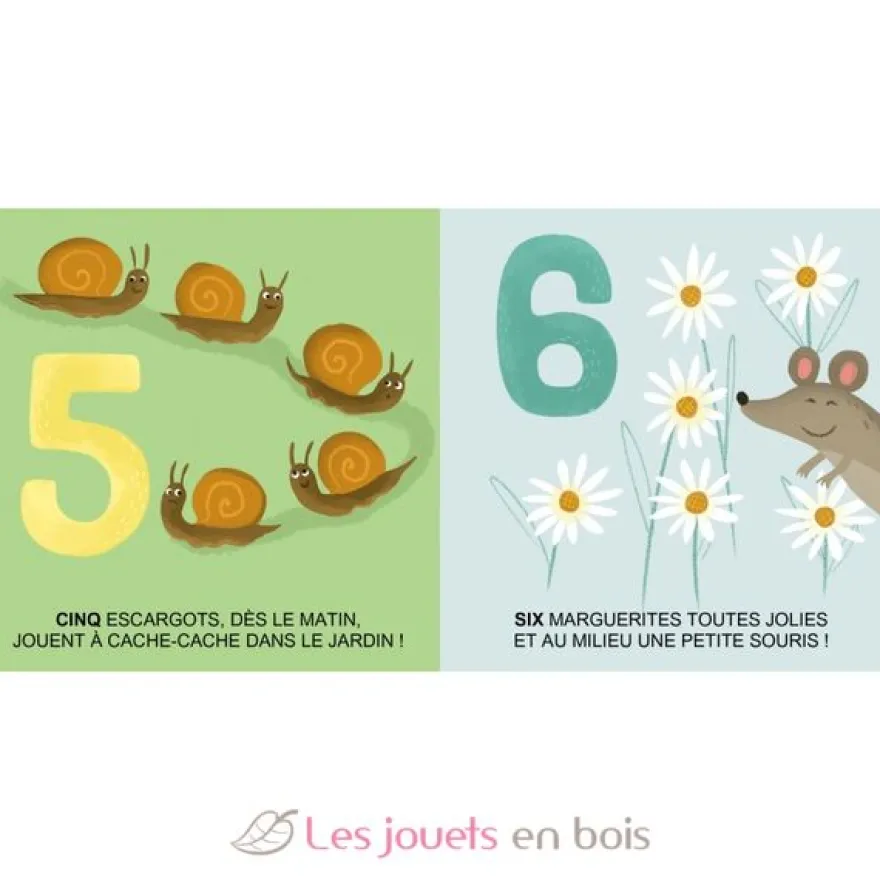 Eco-cubes de la nature - Sassi Junior