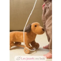 Edward le chien à tirer marron - Egmont Toys