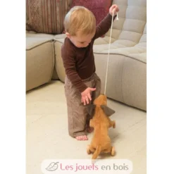 Edward le chien à tirer marron - Egmont Toys