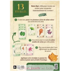 13 feuilles Jeux d'ambiance - Gigamic