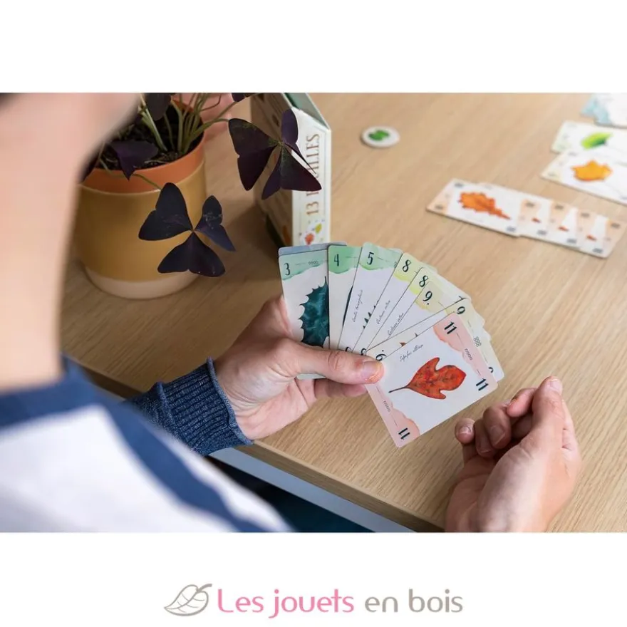 13 feuilles Jeux d'ambiance - Gigamic