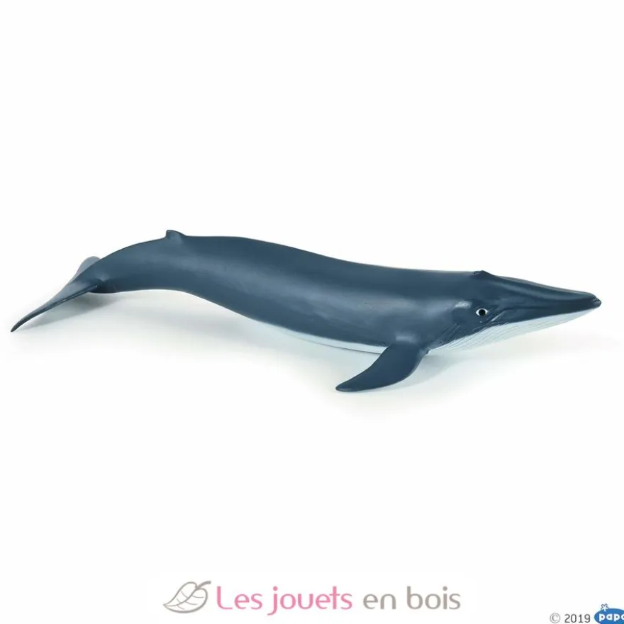 Figurine Bébé baleine bleue - Papo