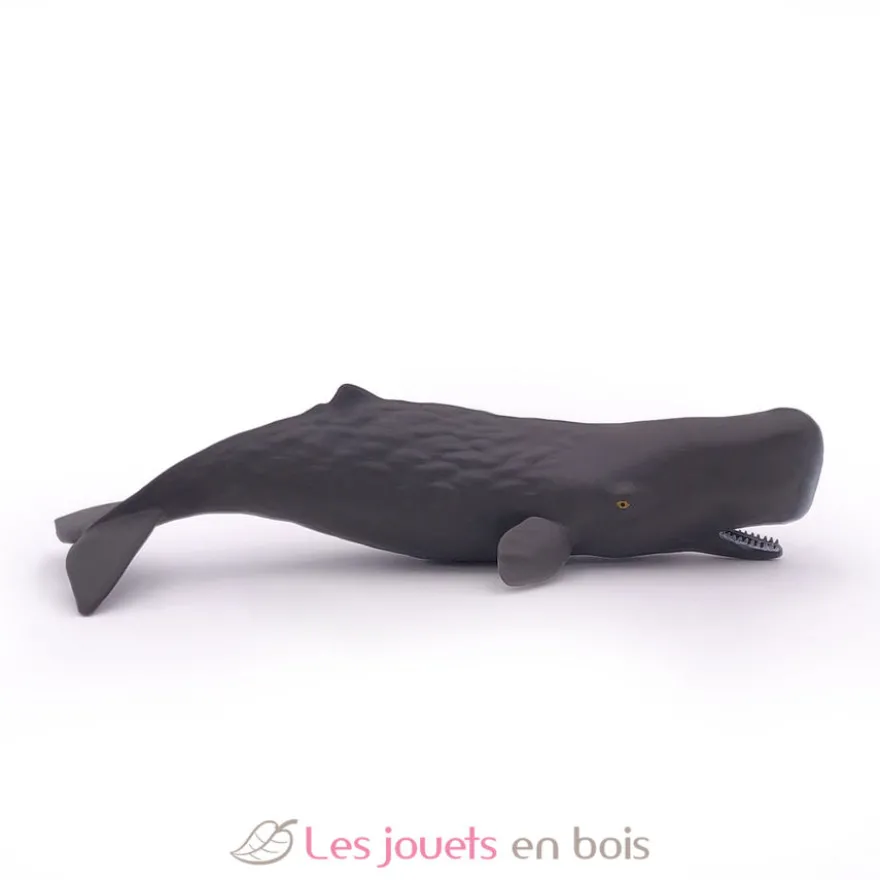 Figurine Bébé Cachalot - Papo