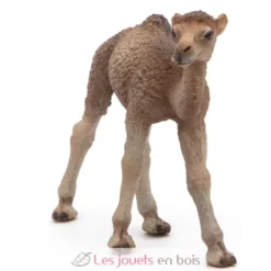 Figurine Bébé dromadaire - Papo