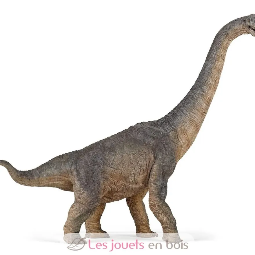 Figurine Brachiosaure - Papo