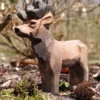 Figurine Cerf en bois marron - Wudimals