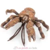 Figurine Crabe des cocotiers- marron - Papo