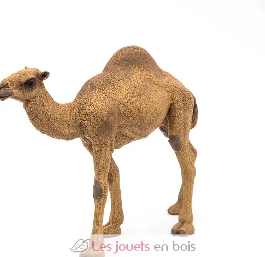 Figurine Dromadaire - Papo