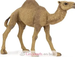 Figurine Dromadaire - Papo