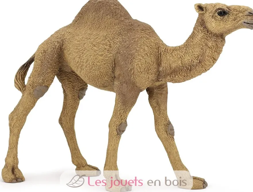 Figurine Dromadaire - Papo