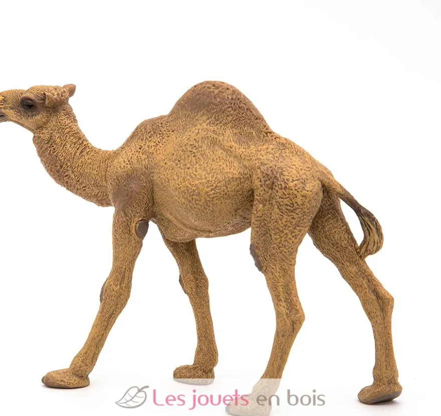 Figurine Dromadaire - Papo