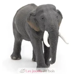 Figurine Eléphant d'Asie - Papo