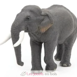 Figurine Eléphant d'Asie - Papo