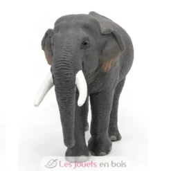 Figurine Eléphant d'Asie - Papo