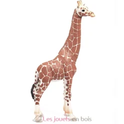 Figurine Girafe femelle marron Schleich