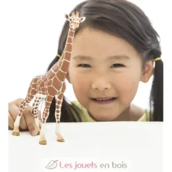 Figurine Girafe femelle marron Schleich