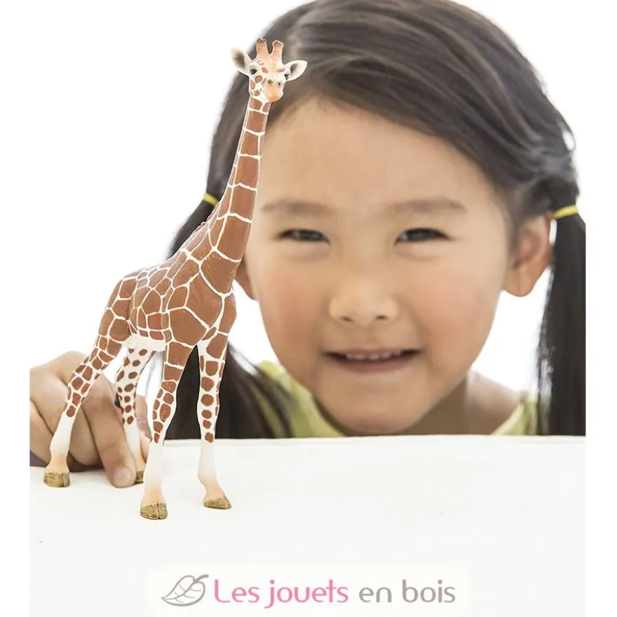 Figurine Girafe femelle marron Schleich