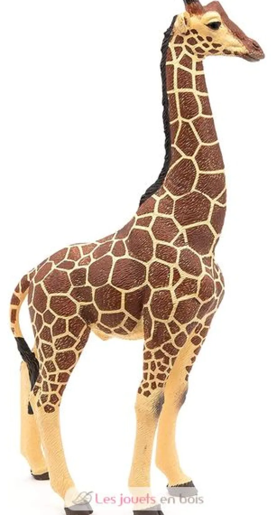 Figurine Girafe mâle - Papo