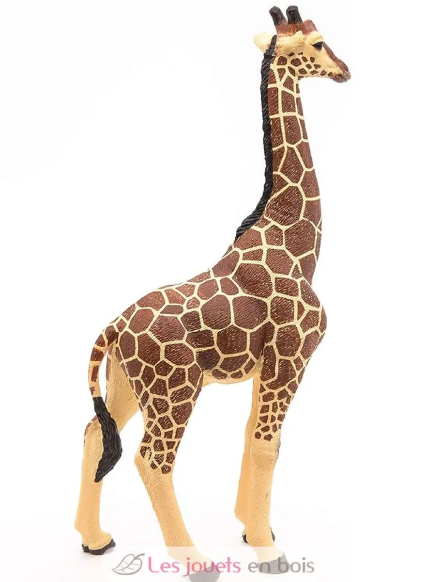 Figurine Girafe mâle - Papo