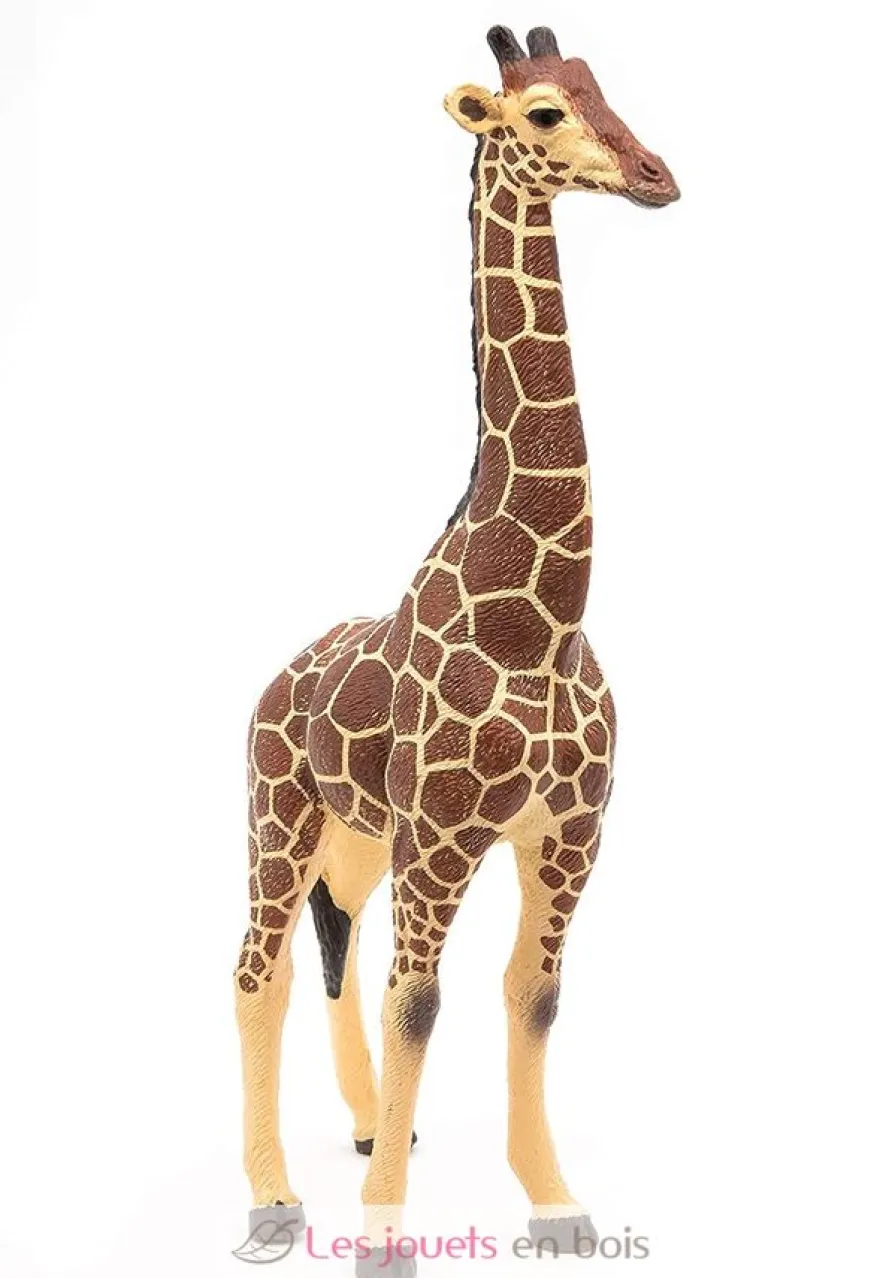 Figurine Girafe mâle - Papo