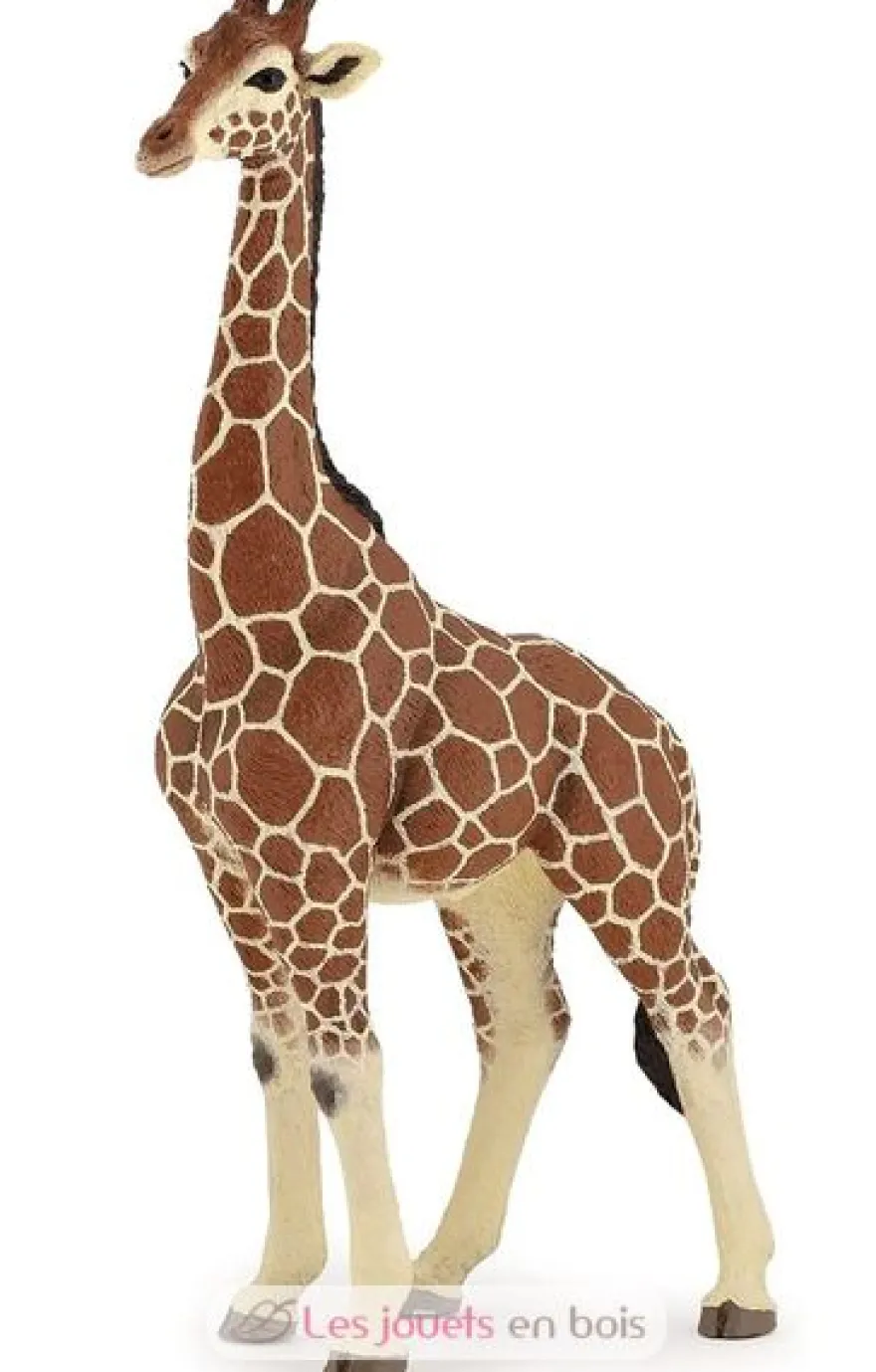 Figurine Girafe mâle - Papo