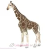 Figurine Girafe - Papo