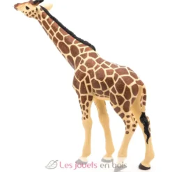 Figurine Girafe tête levée - Papo