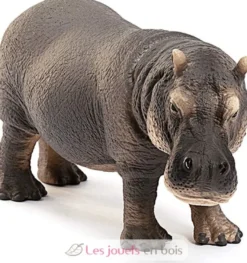 Figurine Hippopotame - Schleich