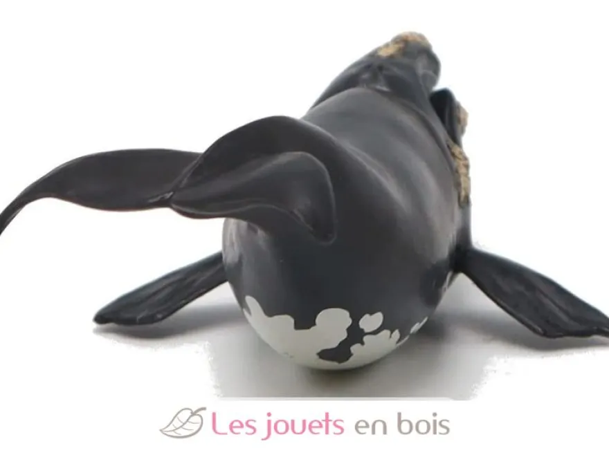 Figurine jeune baleine Franche noire Papo