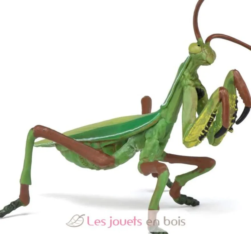 Figurine Mante religieuse - Papo