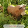 Figurine ours brun en bois, marron - Wudimals