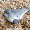Figurine phoque commun en bois gris - Wudimals