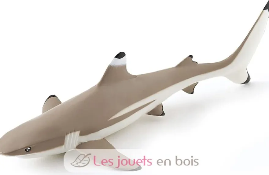 Figurine Requin à pointes noires - Papo