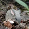 Figurine Souris en bois grise - Wudimals
