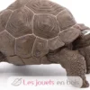 Figurine Tortue des galapagos - Papo