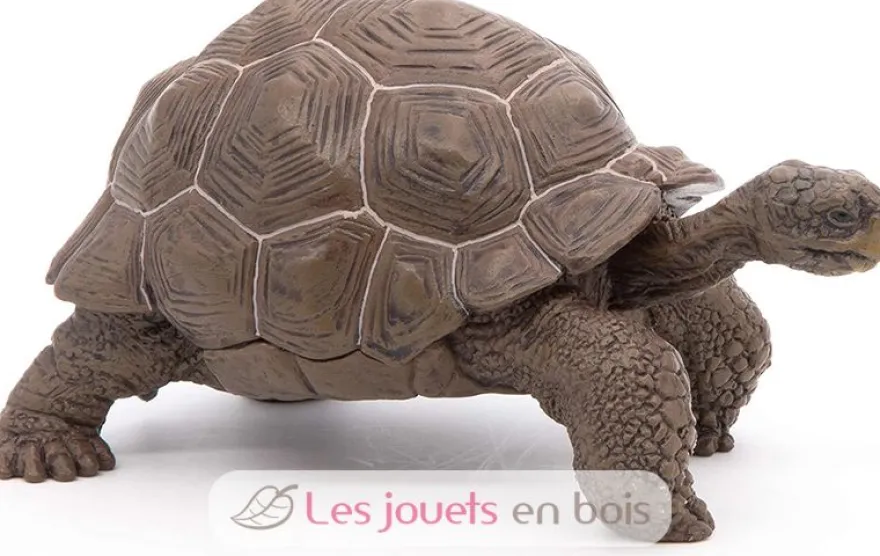 Figurine Tortue des galapagos - Papo