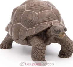 Figurine Tortue des galapagos - Papo